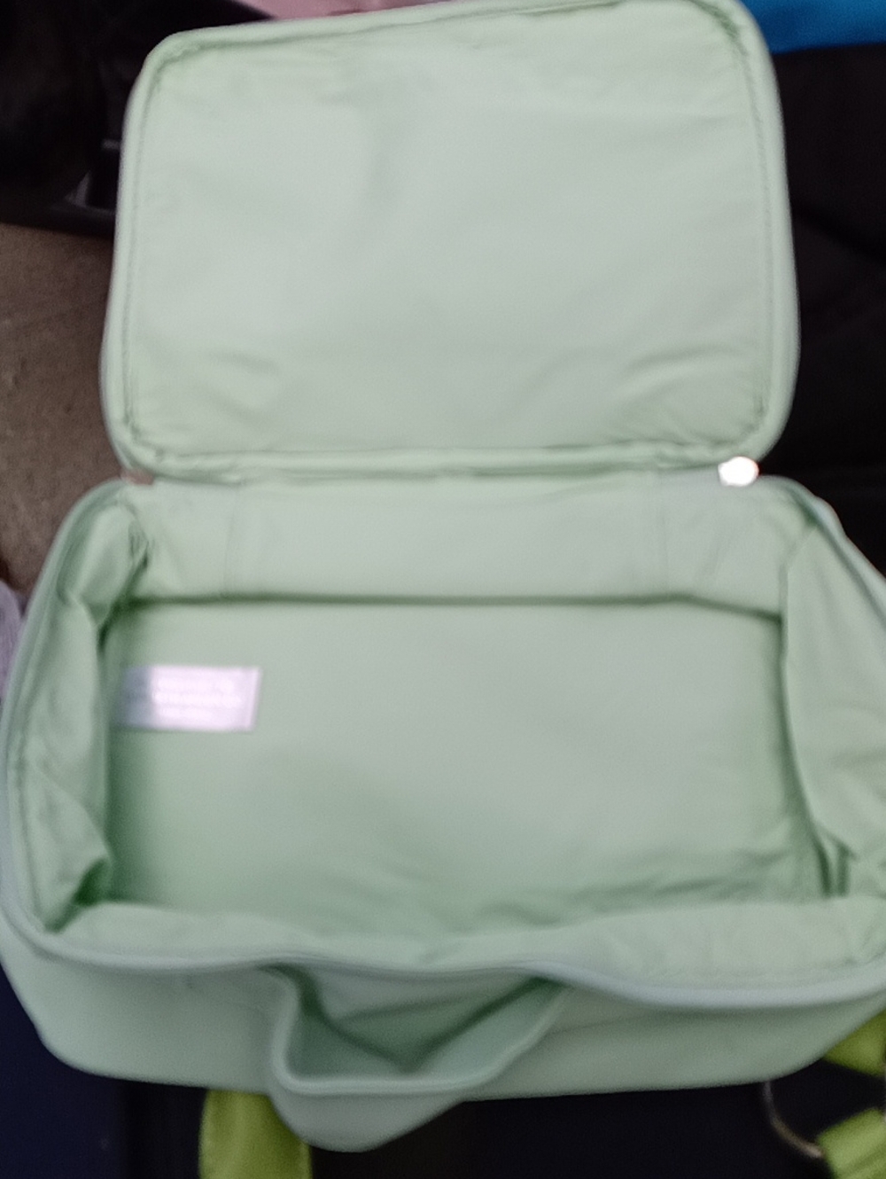 Light Mint Cosmetic Travel Case for Women